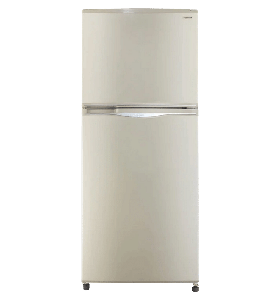 ثلاجه توشيبا 304 لتر 2 باب شامبين GR-EF33-T-C
