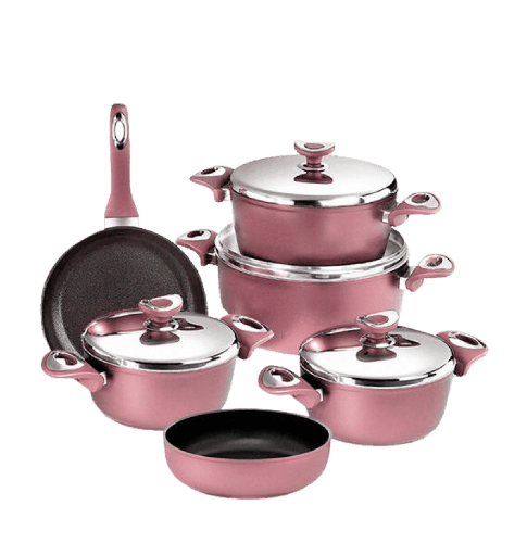 [105273] طقم سافلون تيفال  10 ق  يد بكاليت